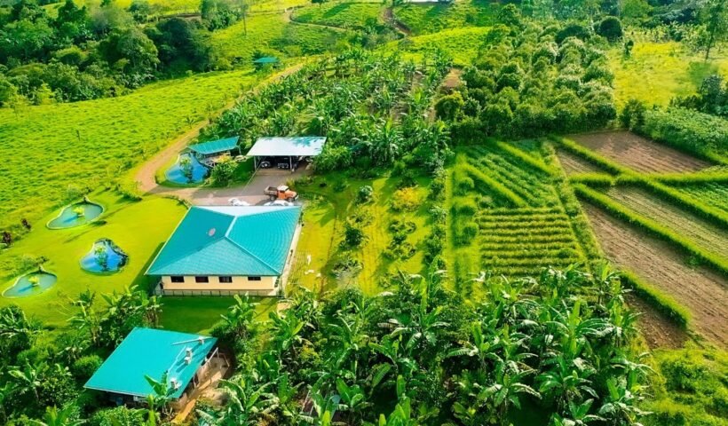 buy farm Costa Rica