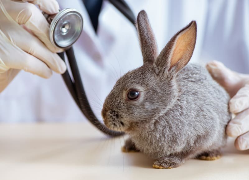 RabbirtMQ healthcheck